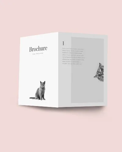 Portfolio Item - 爱游戏